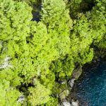 Lessons from COP26