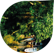 Global Equity ESG