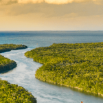 Lessons from COP26