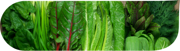 Lettuce