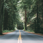 An asset class at a crossroads