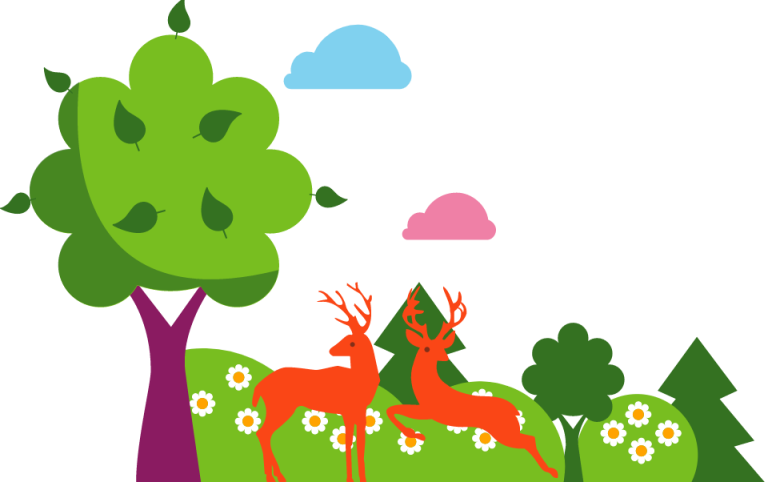 Forest image